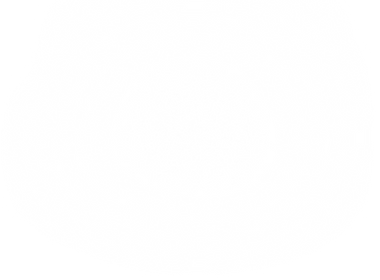 Schein TM2.png